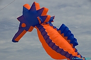 RIMINI 2012 - 178